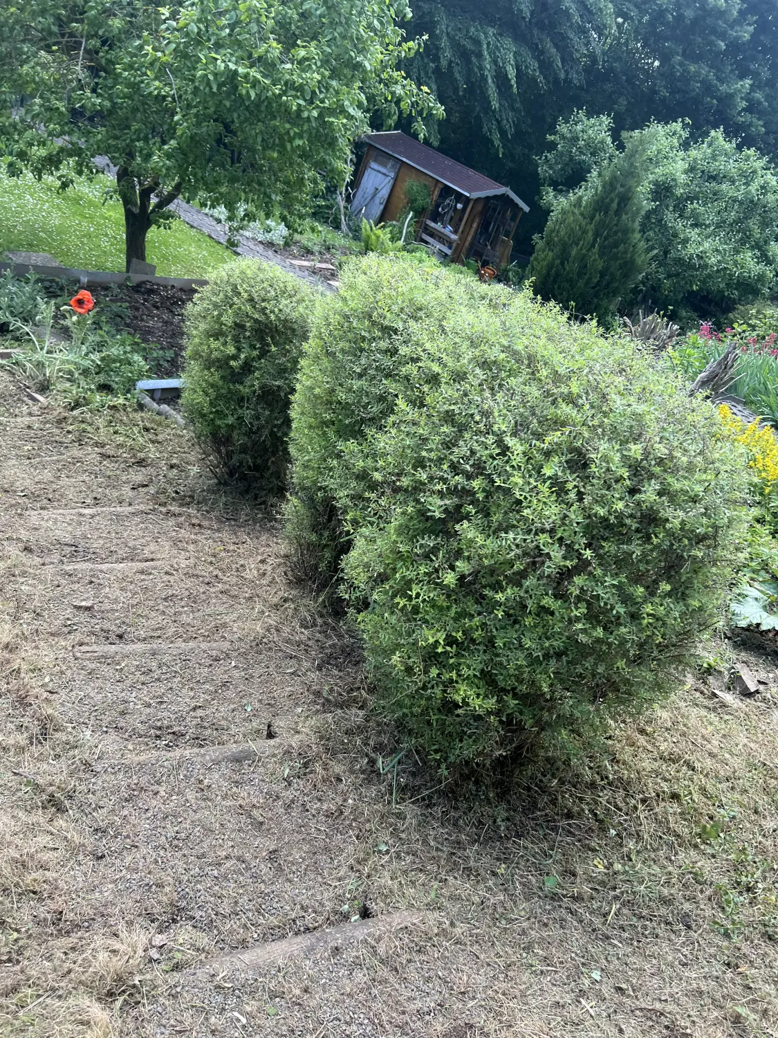 Gartenarbeit von Forst-Garten-Landschaftspflege Christoph Göckritz