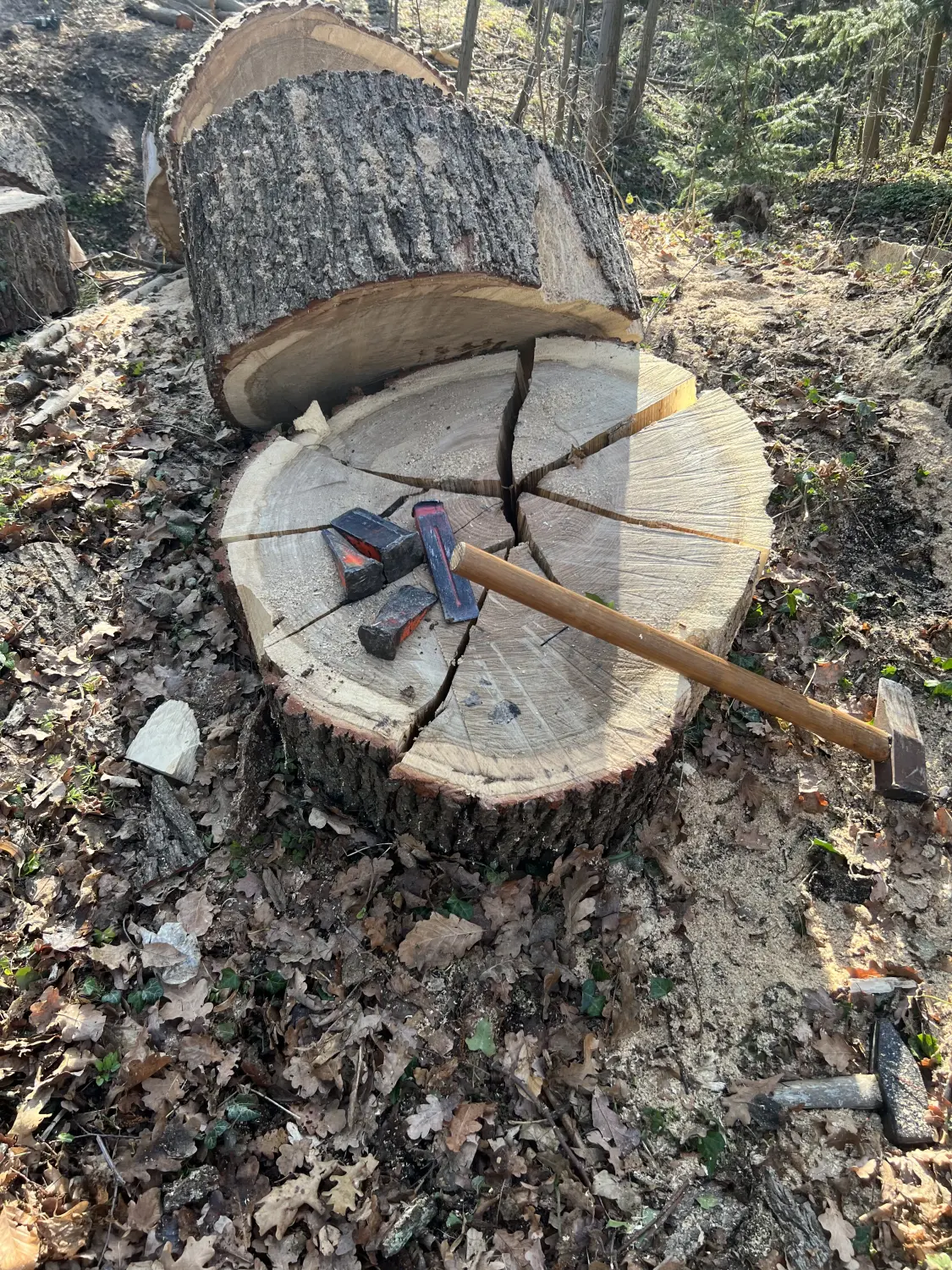Holz schneiden von Forst-Garten-Landschaftspflege Christoph Göckritz