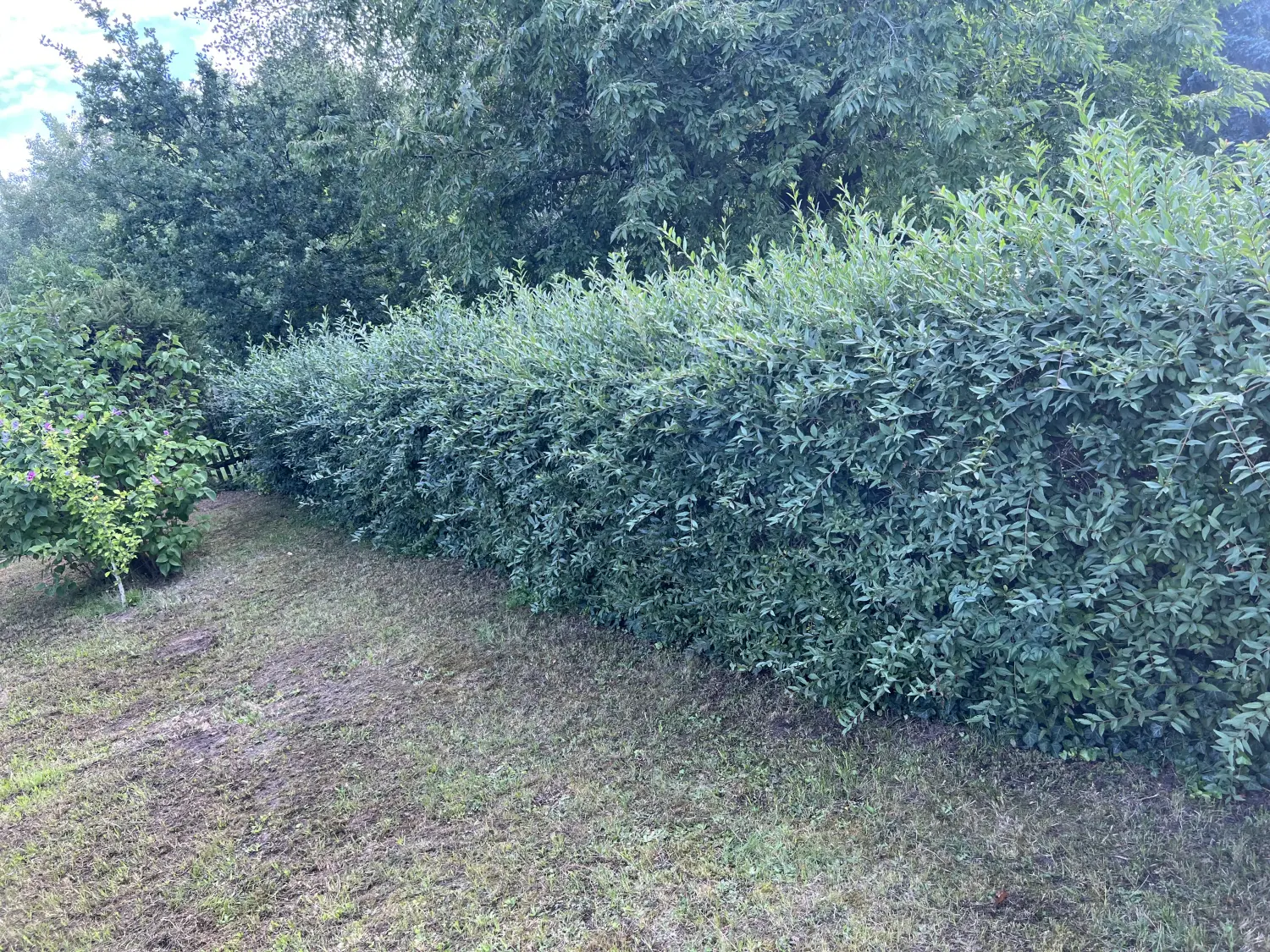 Gartenarbeit von Forst-Garten-Landschaftspflege Christoph Göckritz